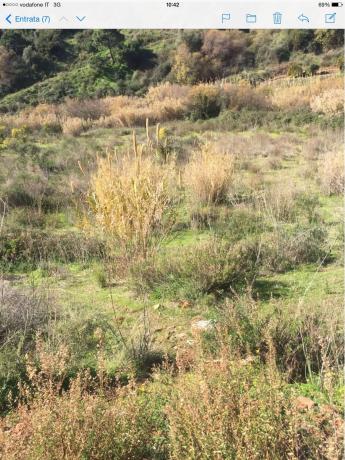 Terreno en Ma-557, 30