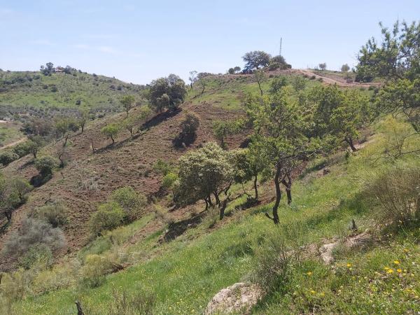 Terreno en Ermita de las tres cruces s/n