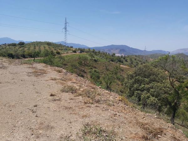 Terreno en Ermita de las tres cruces s/n