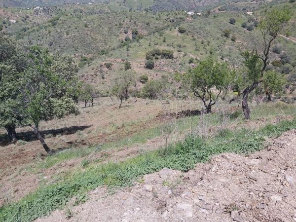 Terreno en Ermita de las tres cruces s/n