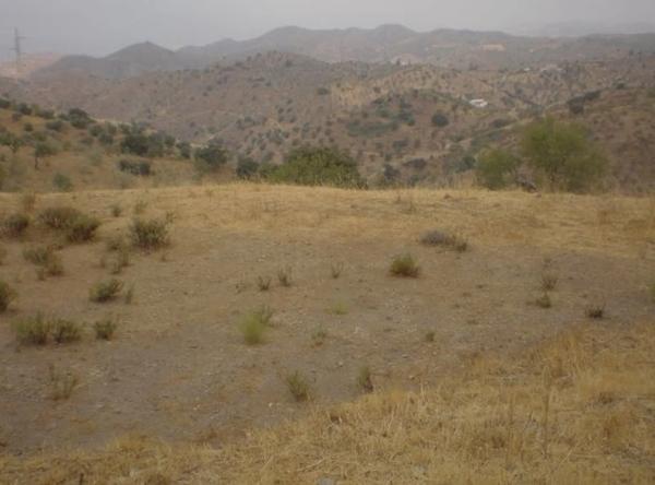 Terreno en Ermita de las tres cruces s/n