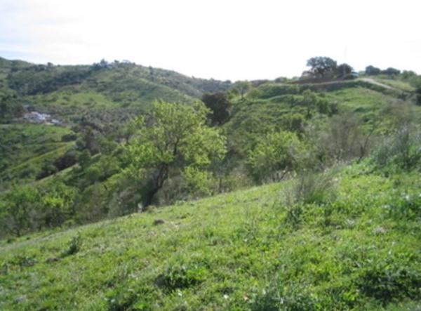 Terreno en Ermita de las tres cruces s/n