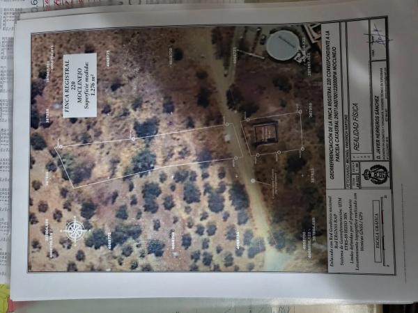 Terreno en ohne Name, 1