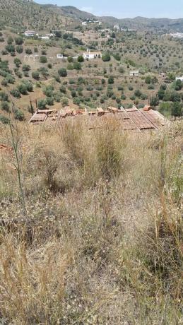 Terreno en ohne Name, 1