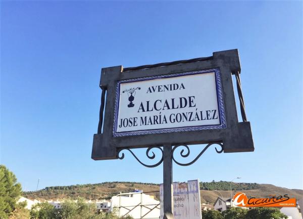 Terreno en camino de Gandia, 22