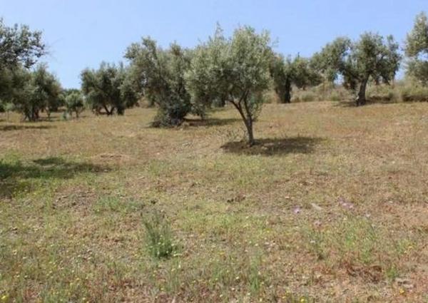 Terreno en Diseminado Benajarafe, 190