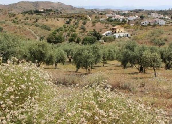 Terreno en Diseminado Benajarafe, 190