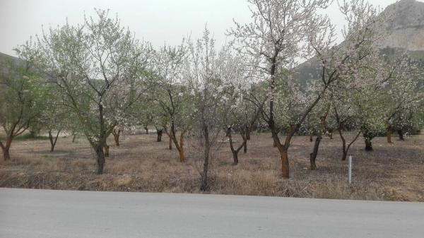 Terreno en carretera pantano s/n
