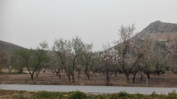 Terreno en carretera pantano s/n