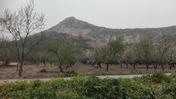 Terreno en carretera pantano s/n