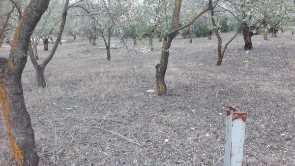 Terreno en carretera pantano s/n