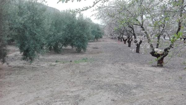 Terreno en carretera pantano s/n