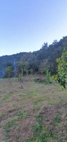 Terreno en polígono 26 parcela 46, 46