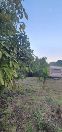 Terreno en polígono 26 parcela 46, 46