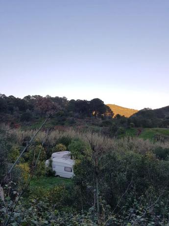 Terreno en polígono 26 parcela 46, 46