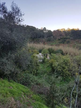 Terreno en polígono 26 parcela 46, 46