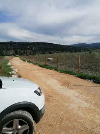 Terreno en carretera a 374 Ronda-Sevilla, km 5