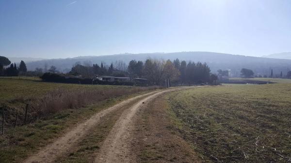 Terreno en carretera a 374 Ronda-Sevilla, km 5