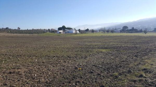 Terreno en carretera a 374 Ronda-Sevilla, km 5