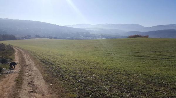 Terreno en carretera a 374 Ronda-Sevilla, km 5