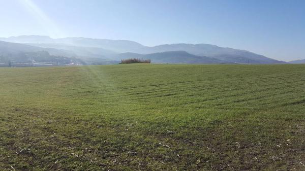 Terreno en carretera a 374 Ronda-Sevilla, km 5