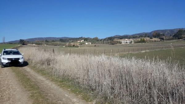 Terreno en carretera a 374 Ronda-Sevilla, km 5