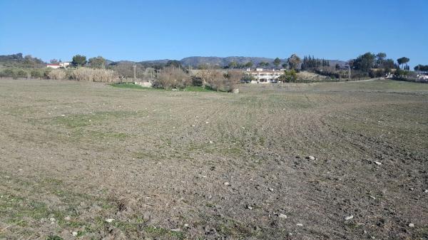 Terreno en carretera a 374 Ronda-Sevilla, km 5