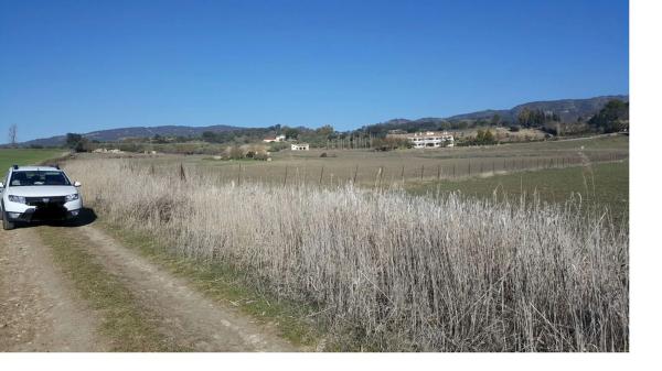 Terreno en carretera a 374 Ronda-Sevilla, km 5