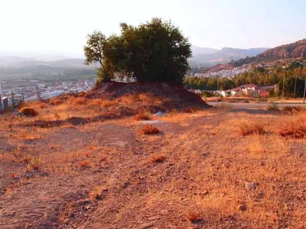 Terreno en calle Algarrobo, 9 , 11 y 13