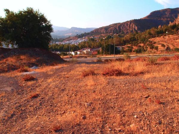 Terreno en calle Algarrobo, 9 , 11 y 13