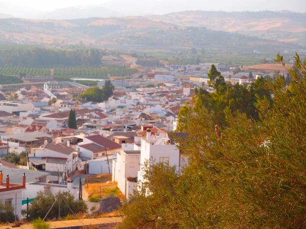 Terreno en calle Algarrobo, 9 , 11 y 13