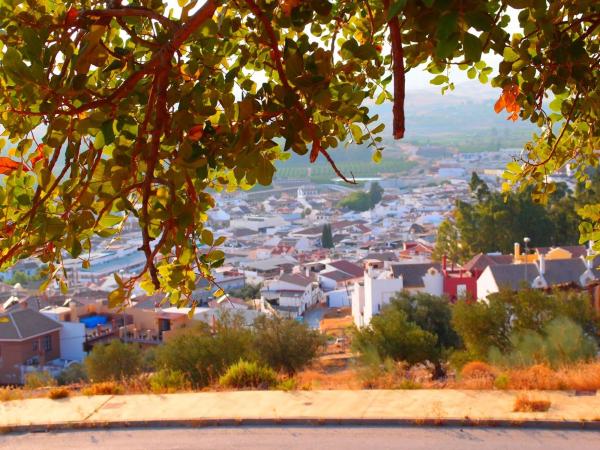 Terreno en calle Algarrobo, 9 , 11 y 13