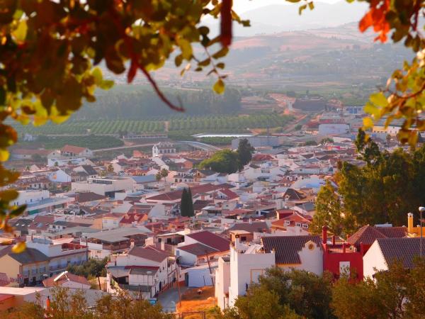 Terreno en calle Algarrobo, 9 , 11 y 13