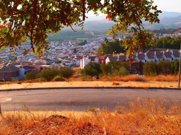 Terreno en calle Algarrobo, 9 , 11 y 13