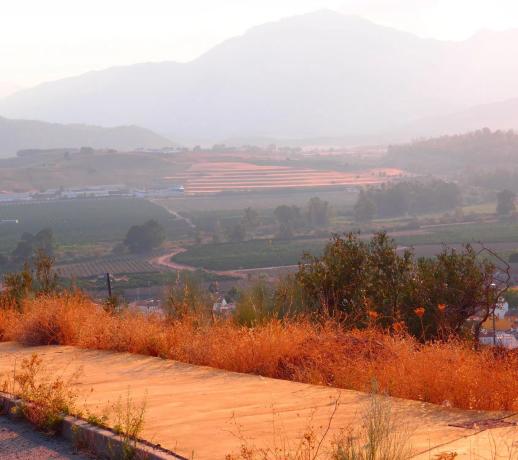 Terreno en calle Algarrobo, 9 , 11 y 13