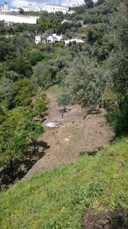 Terreno en calle la Lomilla, km 0