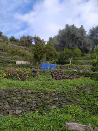 Terreno en calle la Lomilla, km 0