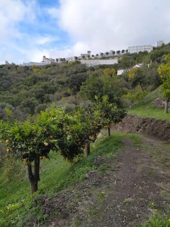 Terreno en calle la Lomilla, km 0