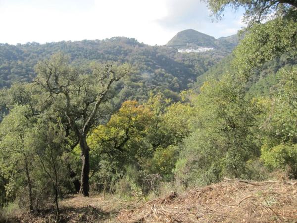 Terreno en calle toledillo, 18