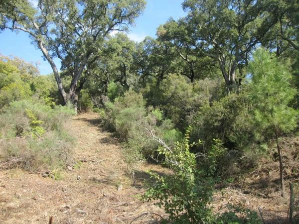 Terreno en calle toledillo, 18