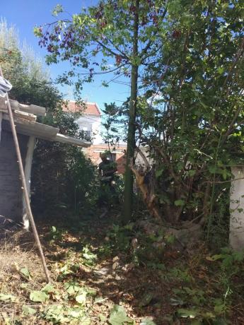 Terreno en calle cadiz, 17