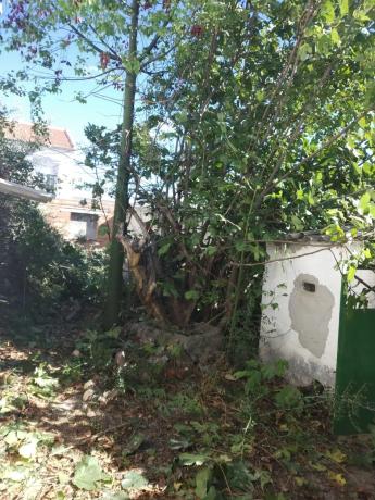 Terreno en calle cadiz, 17