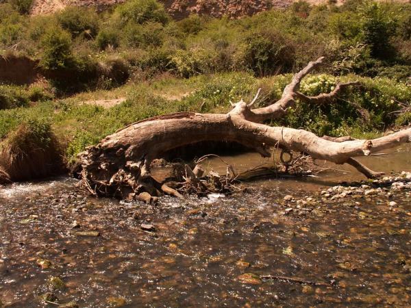 Terreno en diseminado diseminados, 33