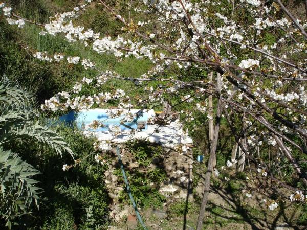 Terreno en viña de juanes s/n
