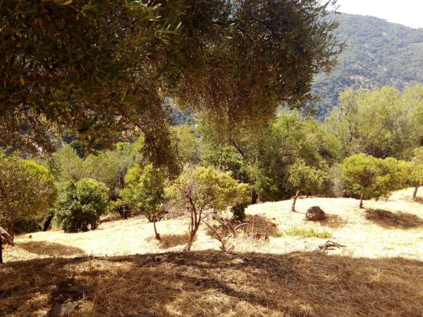 Terreno en campa solana, 14