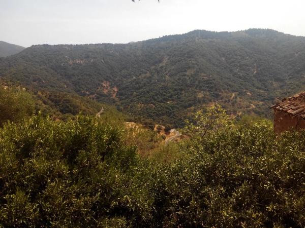 Terreno en campa solana, 14