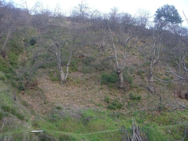 Terreno en viña de juanes s/n