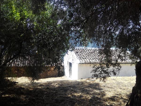 Terreno en campa solana, 14