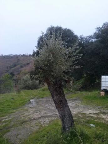 Terreno en viña de juanes s/n