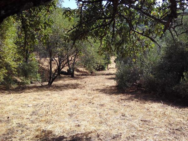 Terreno en campa solana, 14